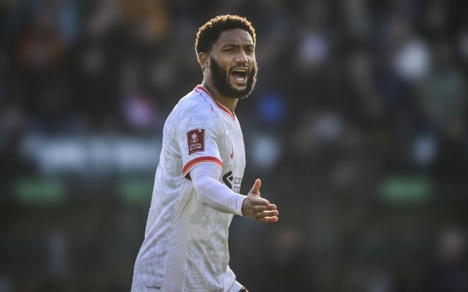 这位年轻球 这位年轻球