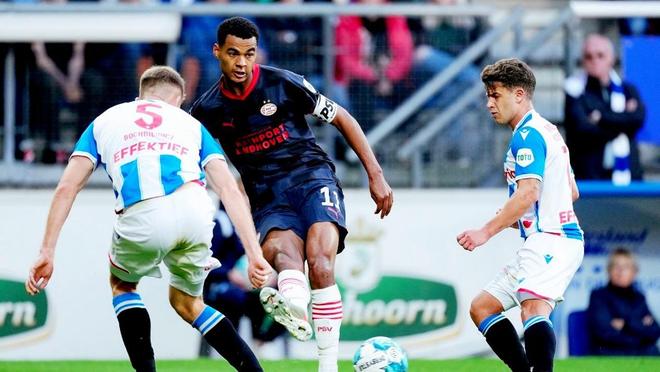 秀教练在应 秀教练在应