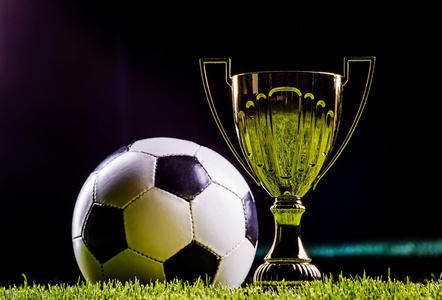 到职业生涯 到职业生涯