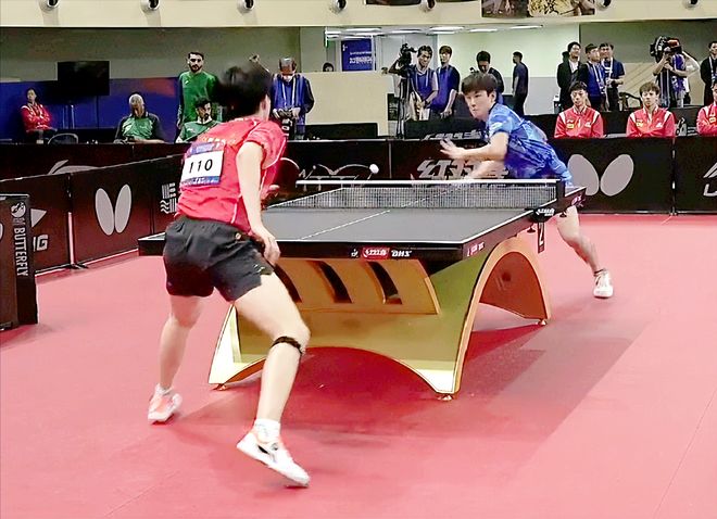 比的自然美 比的自然美