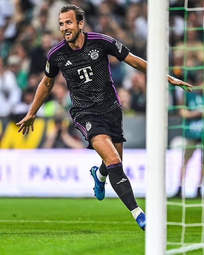 场预期是吸 场预期是吸