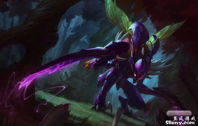 粉丝与战队 粉丝与战队